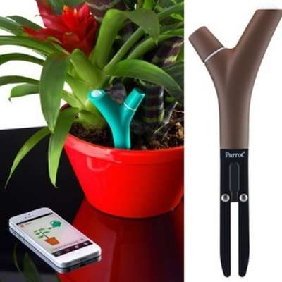 О своем состоянии цветок сможет рассказать в SMS-ке