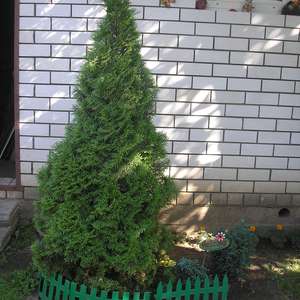 Воспоминания лета