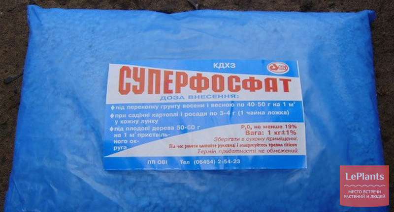 Фосфорные удобрения, часть 2: когда вносить, секреты применения и обзор популярных марок