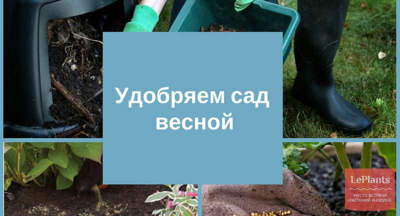 Удобряем сад весной
