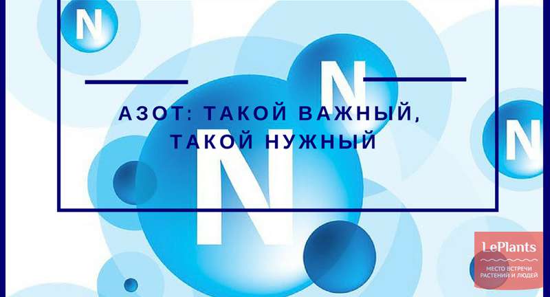 Азот (N): такой важный, такой нужный