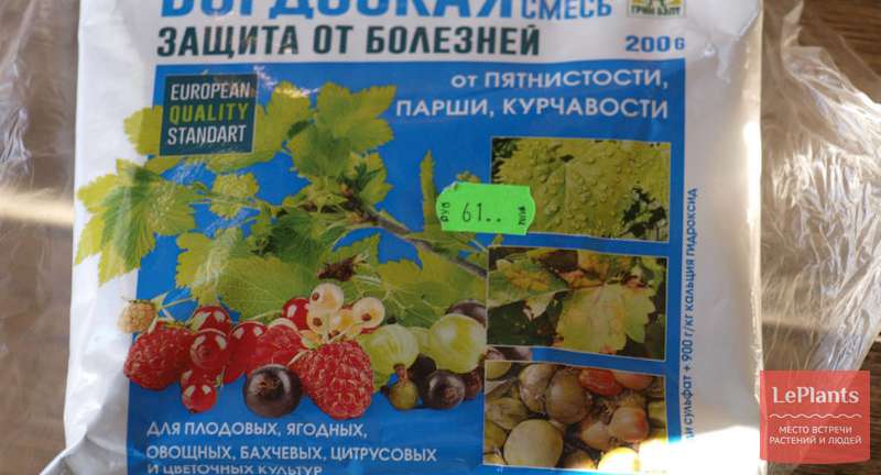 Бордоская смесь